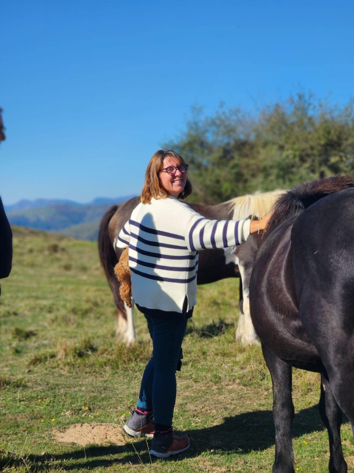 blockValue.a2b738b1-f3a0-4877-b87f-c144477e7544.textCol.0.textColImg.0.img_alt