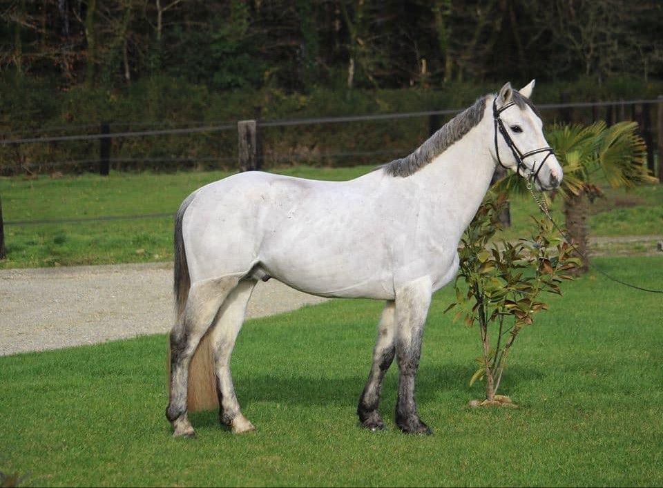 blockValue.789f963d-e200-4b7b-942e-2e73f35333af.imageCol.3.img_alt