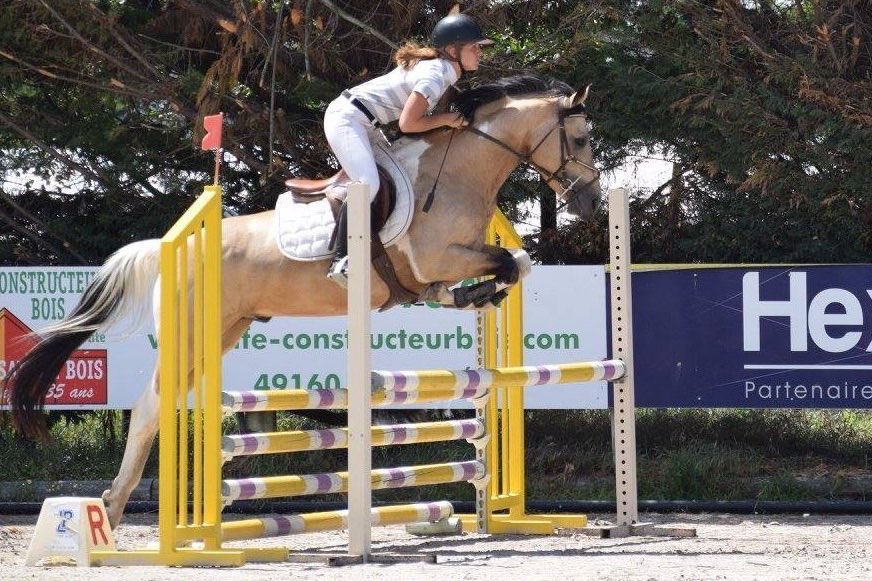 Image de stage CSO pour galop 3-5