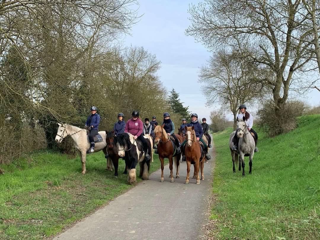 Image de détente à cheval pour cavaliers à l'aise aux 3 allures pas montés depuis longtemps ou montant occasionnellement