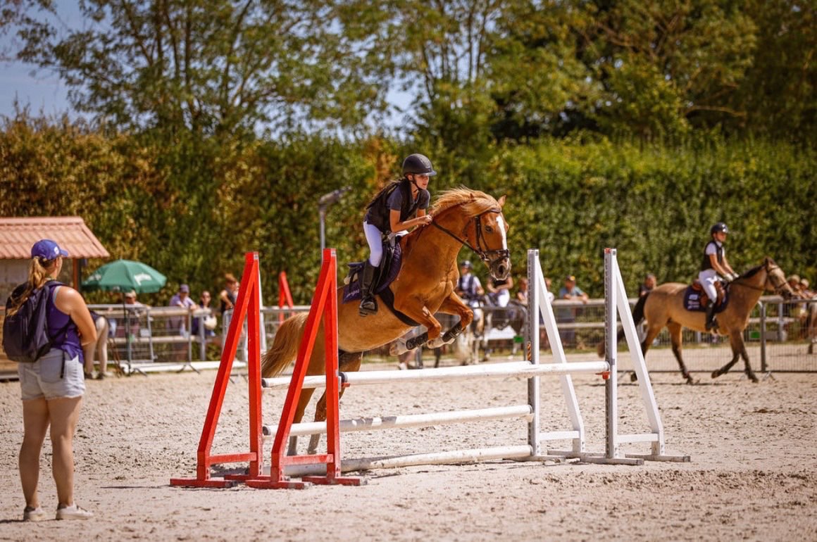 Image de Stage CSO à partir du galop 3 avec Laure 