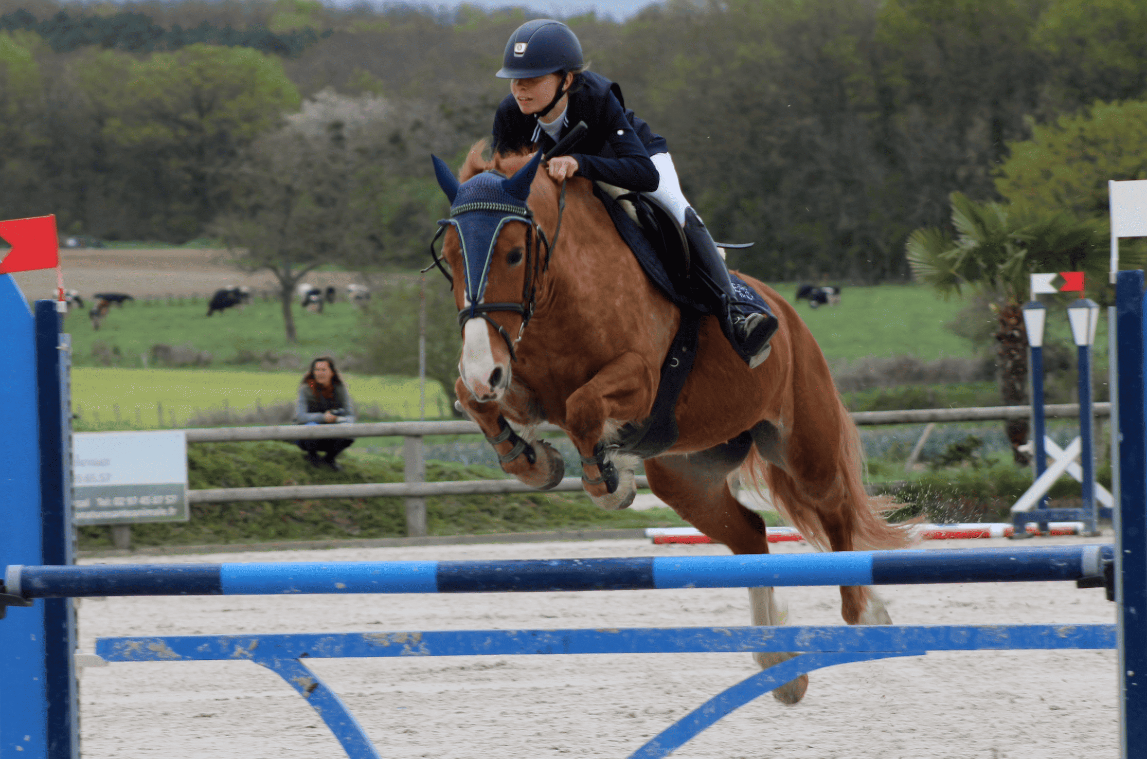 Image de SÉANCE D'OBSTACLE À L'EXTÉRIEUR À PARTIR DU GALOP 3