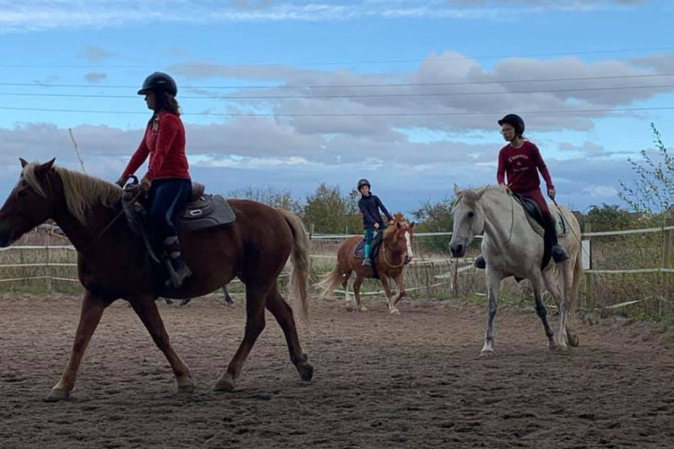 Image de Stage débutant adulte dimanche 10 Janvier