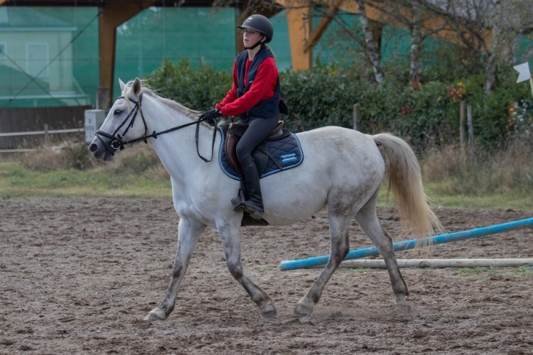 Image de Stage semaine, Galop 2 à 5