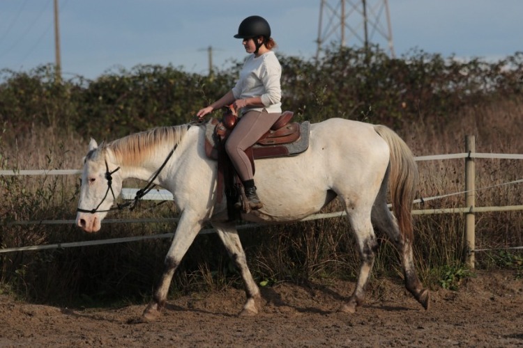 Image de Stage Ethologie