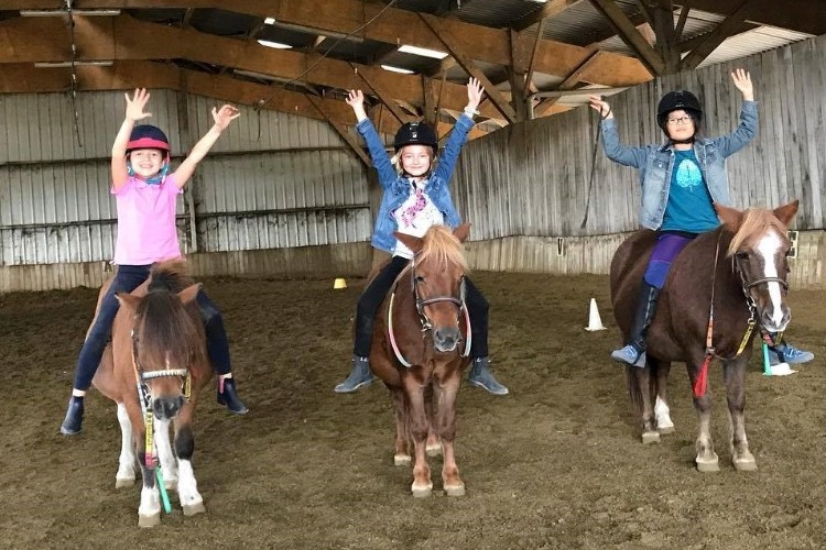 Image de Stage Baby Poney