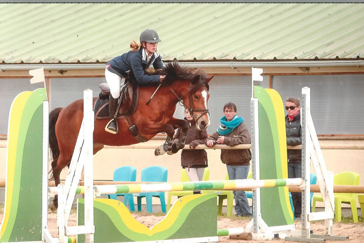 Image de Stage débutant et galop 1 et galop 2 à 6