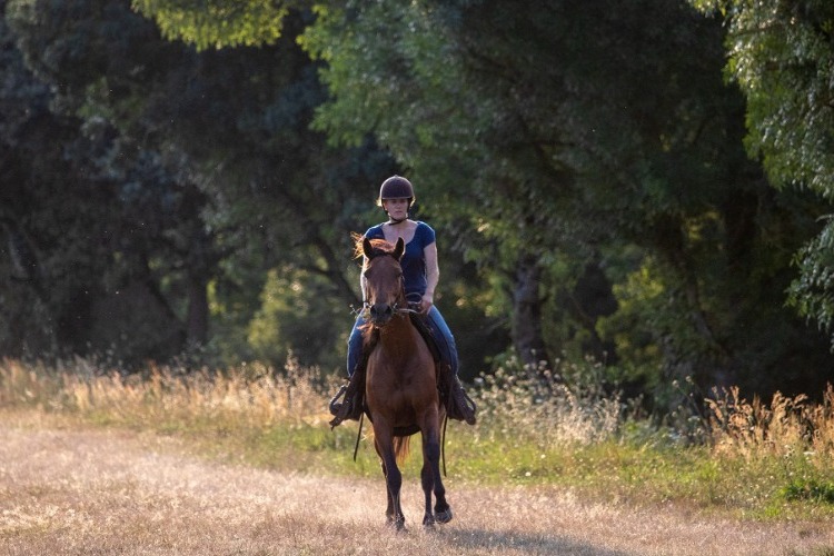 Image de Promenade Confirmés