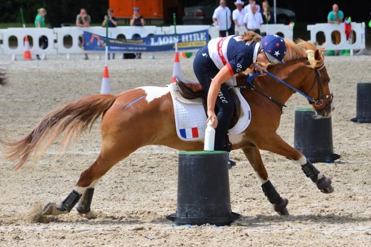 Image de Stage Pony Games, à partir de galop 2 tous âges même adultes