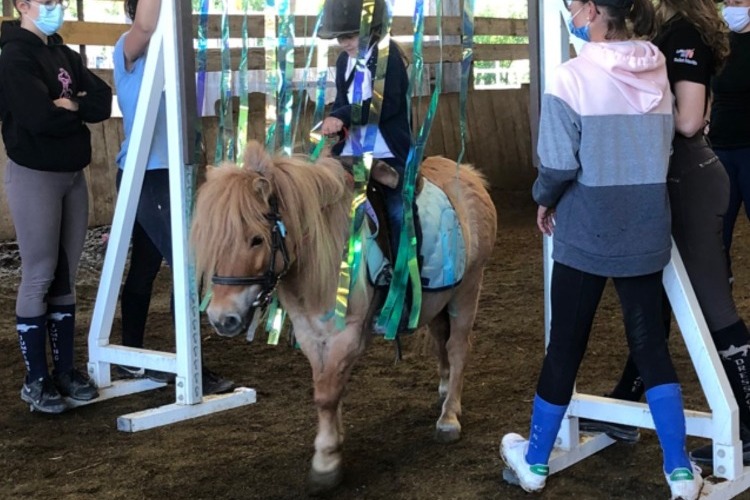 Image de STAGE BABY PONEY COMPLET