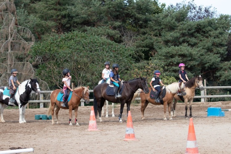 Image de Stage semaine Débutants : 5 au 9 juillet,  du 23 au 27 aout