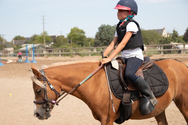 Image de STAGE SEMAINE GALOP 1 à 2: 5 au 9 juillet, 12 au 16 juillet, 19 au 23 juillet, 9 au 13 aout et du 23 au 27 aout