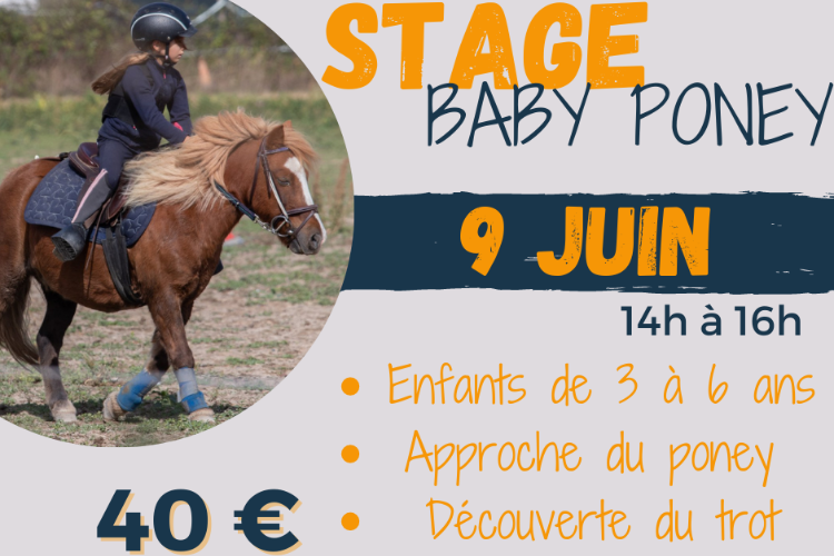 Image de STAGE BABY PONEY COMPLET