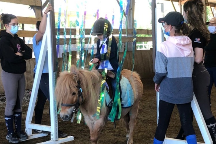 Image de STAGE BABY PONEY